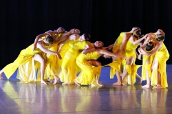 20   Fusion 18